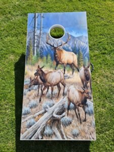 elk boards 2